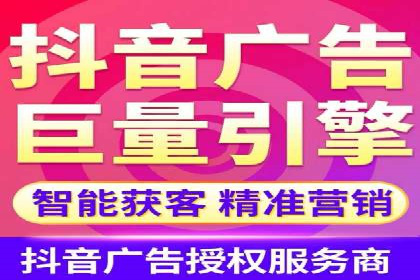 某公司通过竞价SEM优化搜索引擎排名案例